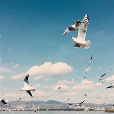 中欧·体育(KOK)中国官方网站